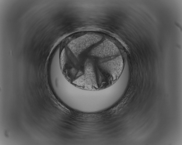 X0000094771364200712141549