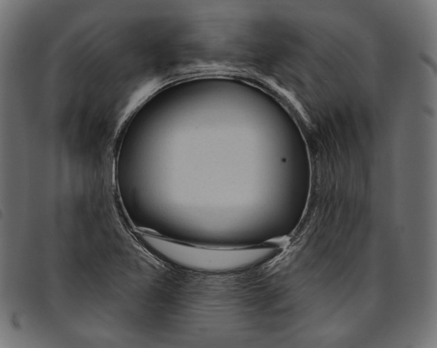 X0000094771365200712141549