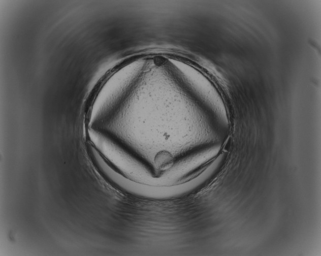 X0000094771368200712141549