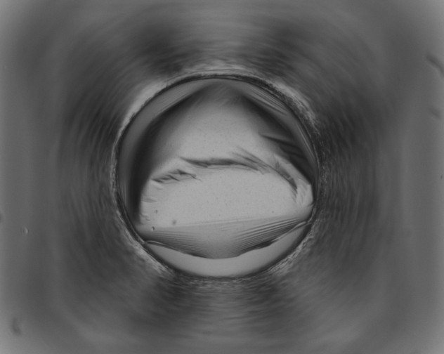 X0000094771374200712141548