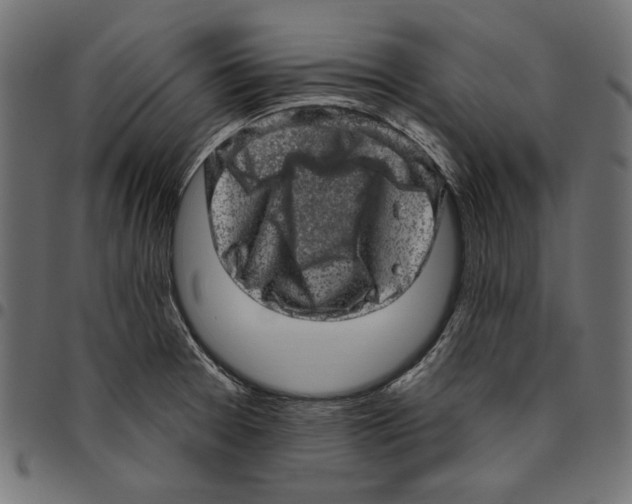 X0000094771377200712141548