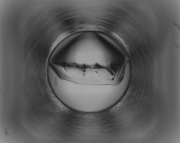 X0000094771378200712141548