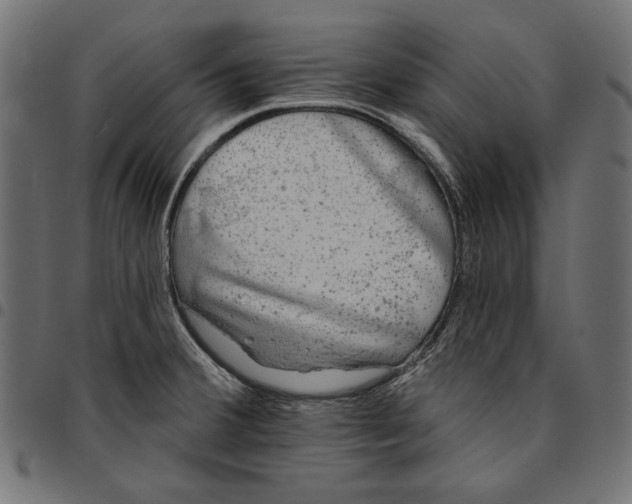 X0000094771380200712141548