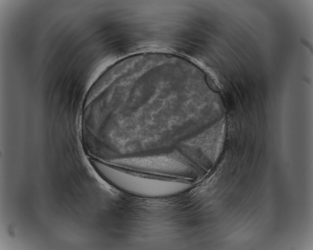 X0000094771383200712141548