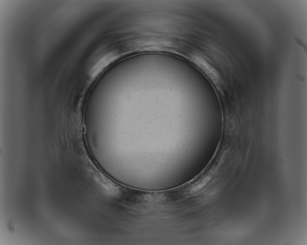 X0000094771384200712141548