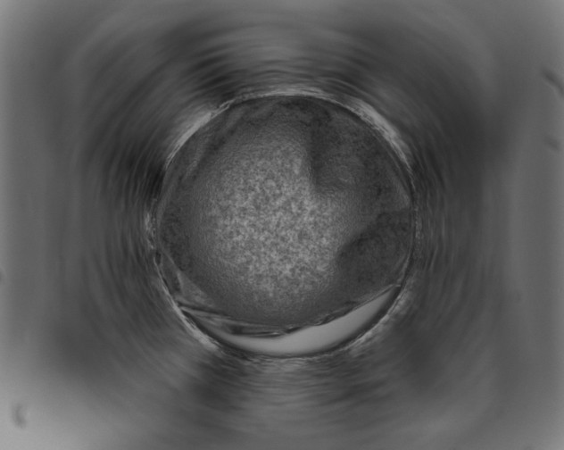 X0000094771385200712141548