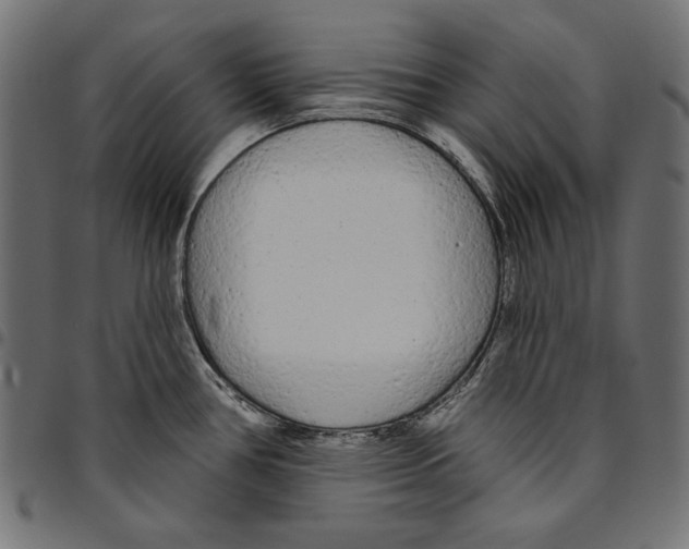 X0000094771386200712141548