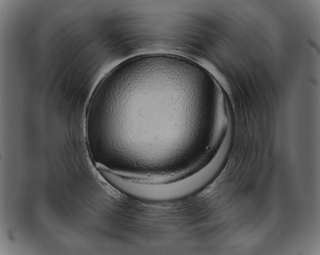 X0000094771388200712141548