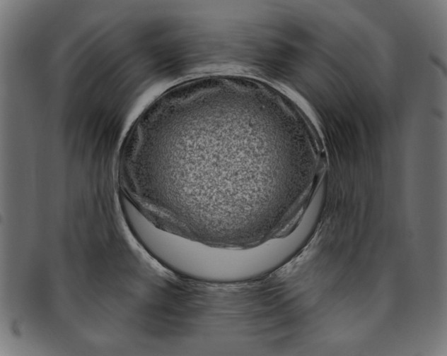 X0000094771389200712141548