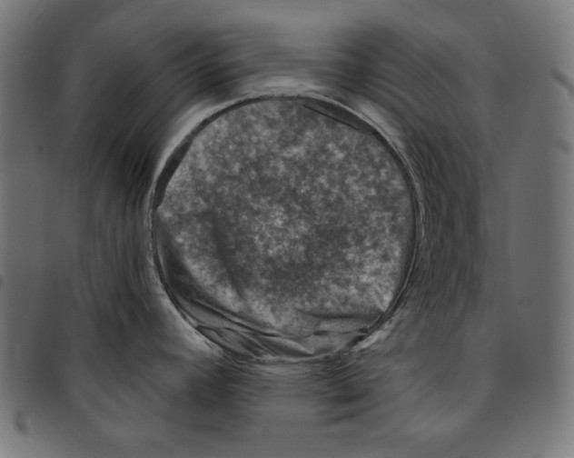 X0000094771392200712141548