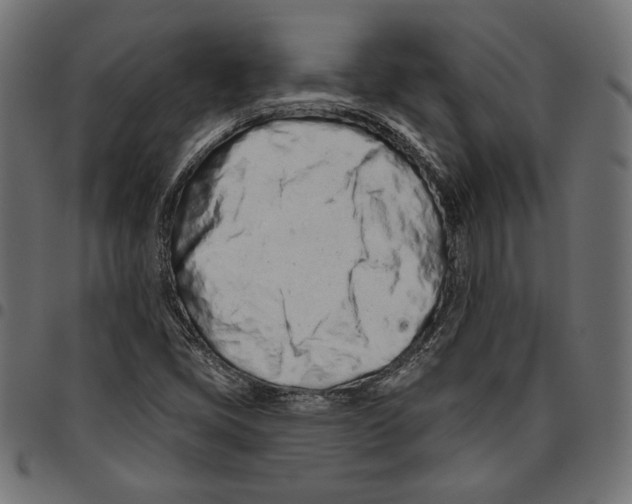 X0000094771405200712141548