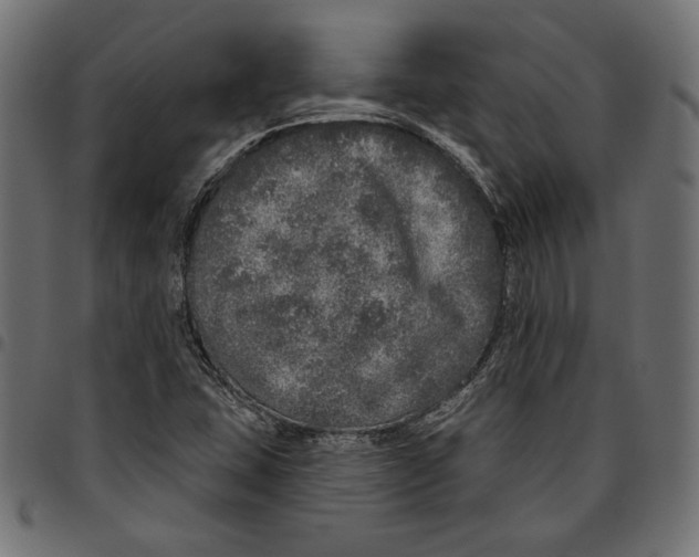 X0000094771407200712141548