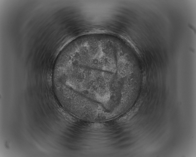 X0000094771409200712141548