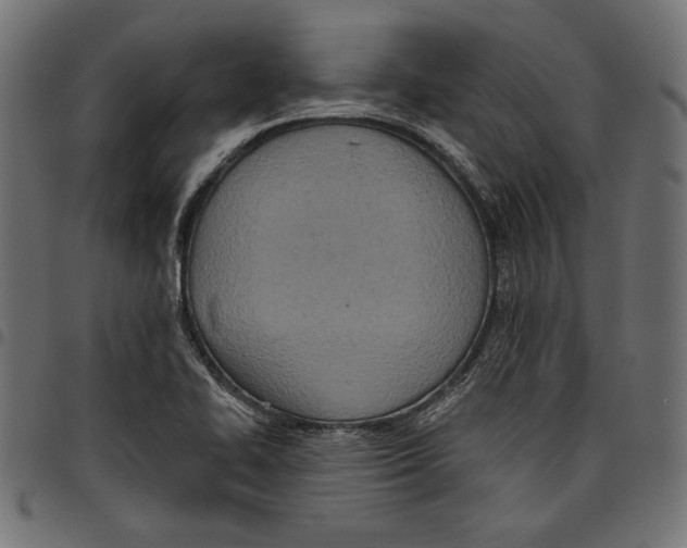 X0000094771414200712141548