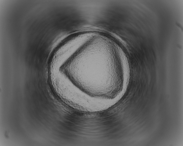 X0000094771415200712141548