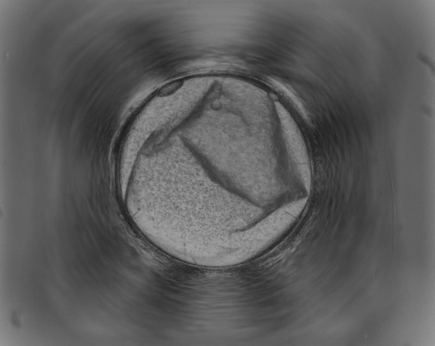 X0000094771419200712141548