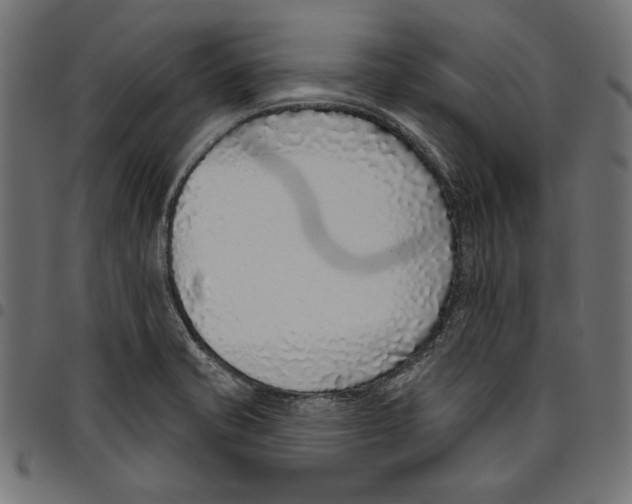 X0000094771421200712141548