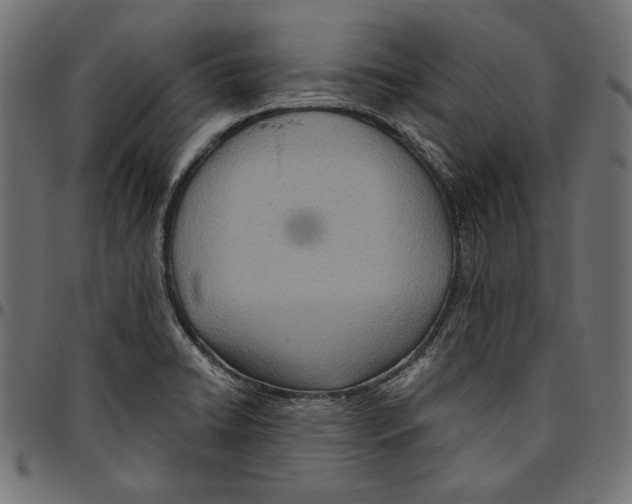 X0000094771422200712141548