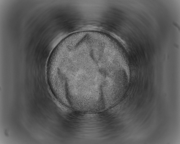 X0000094771423200712141548