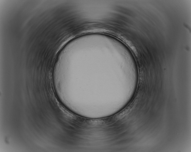 X0000094771425200712141548