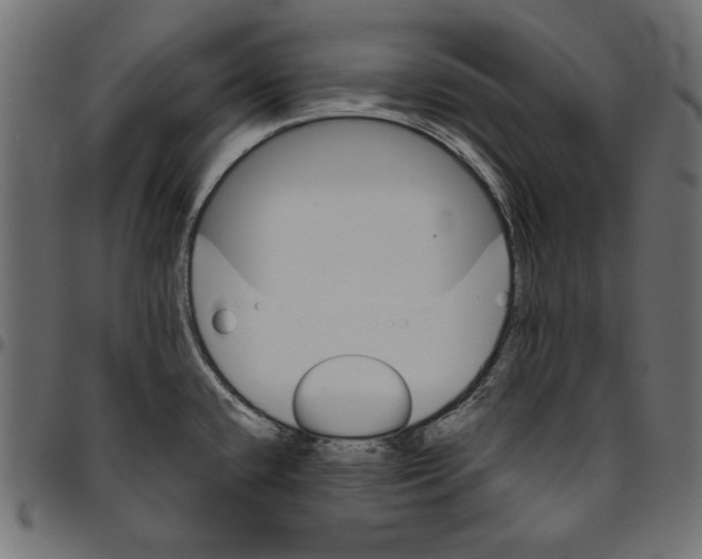 X0000094771432200712141548