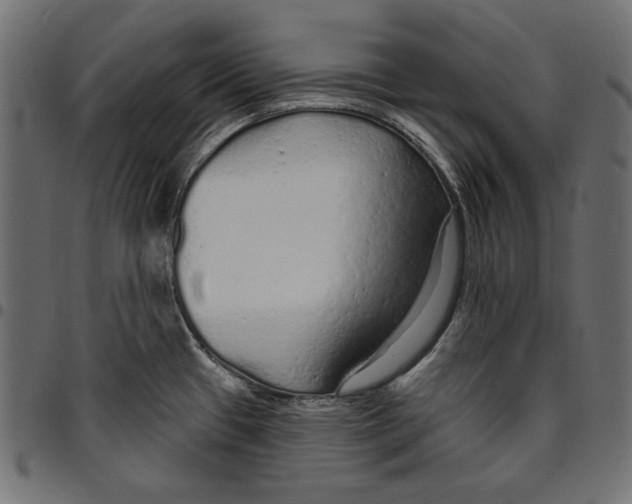 X0000094771433200712141548