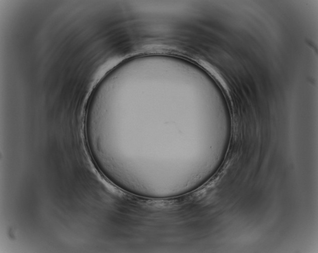 X0000094771437200712141548