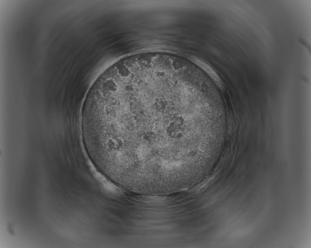 X0000094771439200712141548