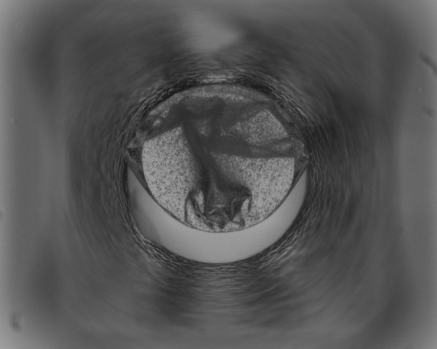 X0000094771441200712141548