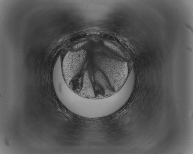 X0000094771445200712141547