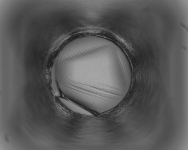 X0000094771448200712141547