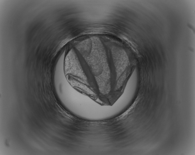 X0000094771449200712141547