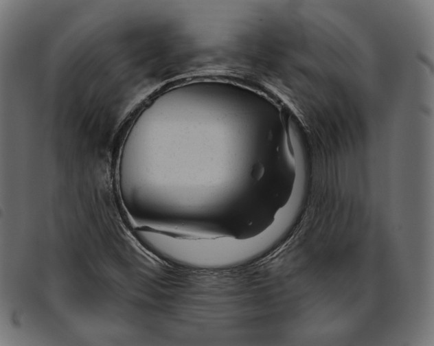 X0000094771452200712141547