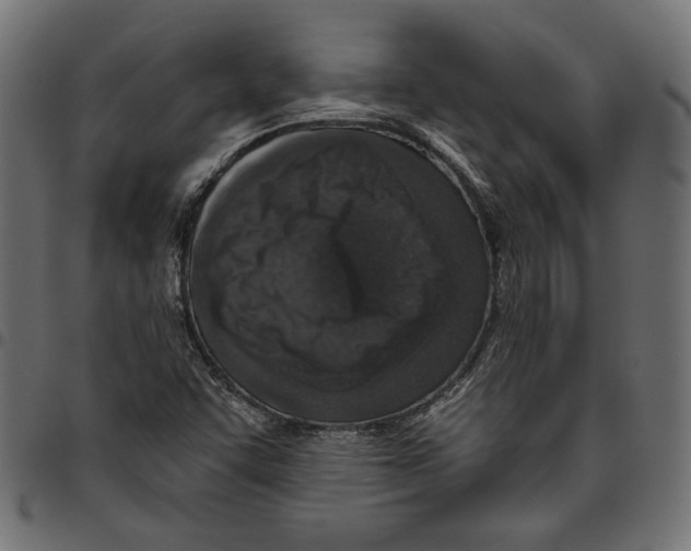 X0000094771455200712141547