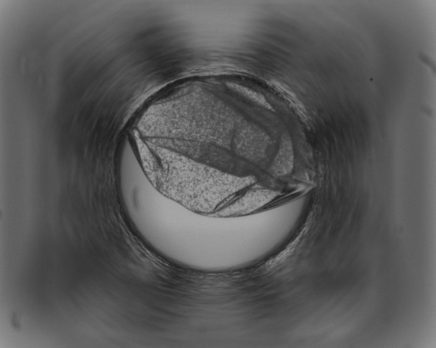 X0000094771457200712141547