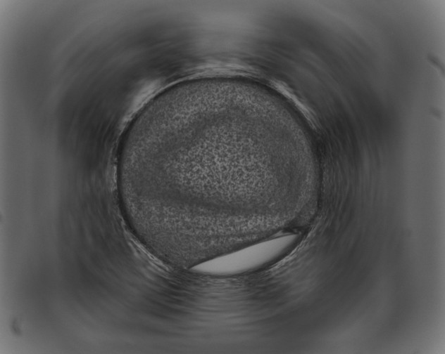 X0000094771459200712141547