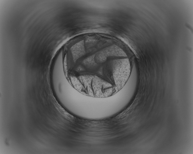 X0000094771460200712141547