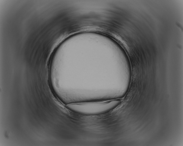 X0000094771467200712141547