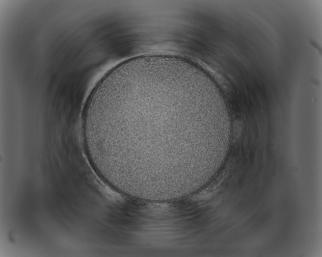 X0000094771470200712141547