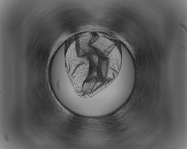 X0000094771472200712141547