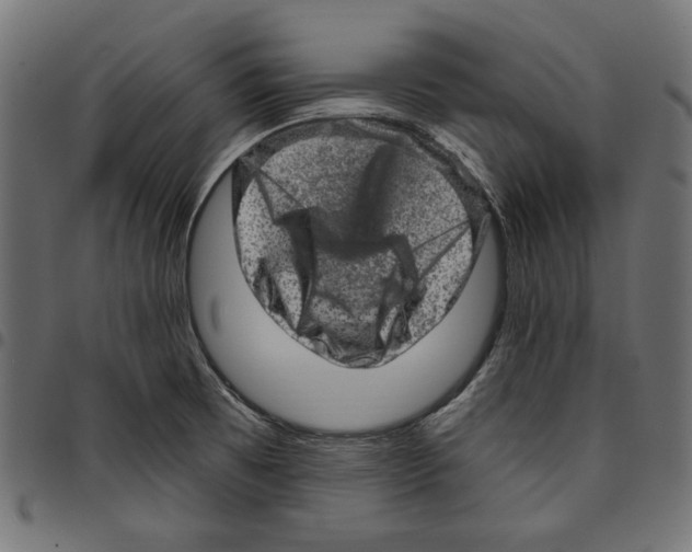 X0000094771473200712141547