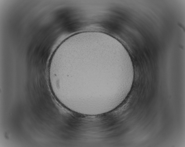 X0000094771478200712141547