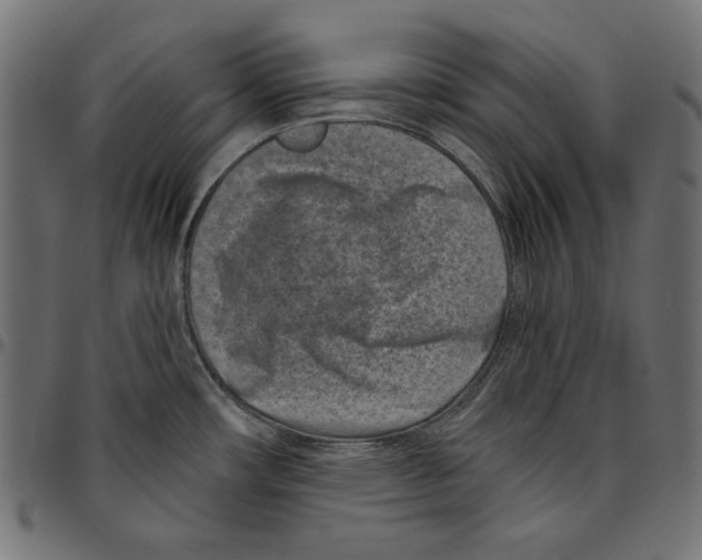 X0000094771482200712141547