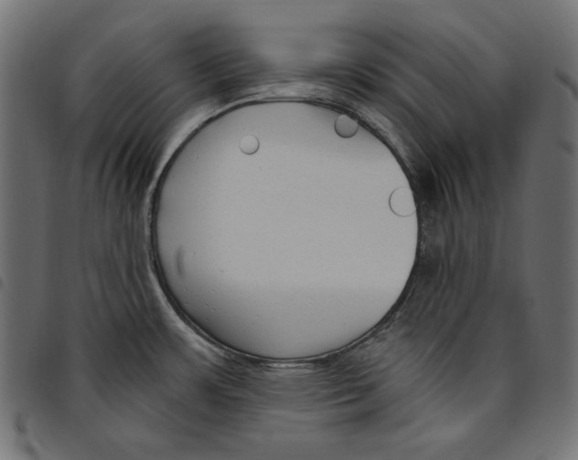 X0000094771483200712141547