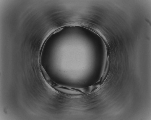 X0000094771484200712141547