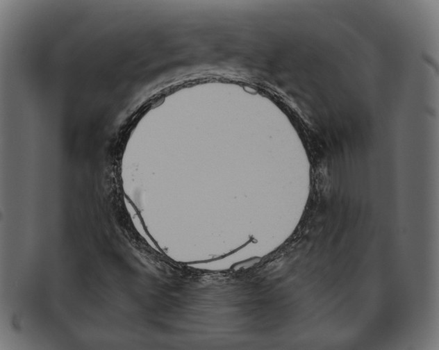 X0000094771496200712141546