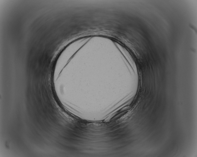 X0000094771500200712141546