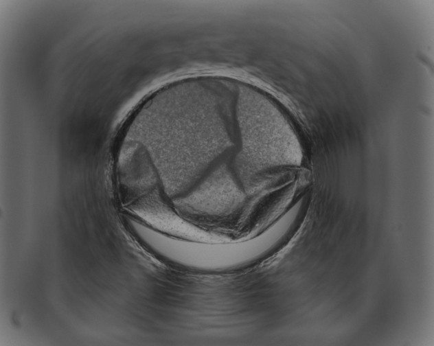 X0000094771502200712141546