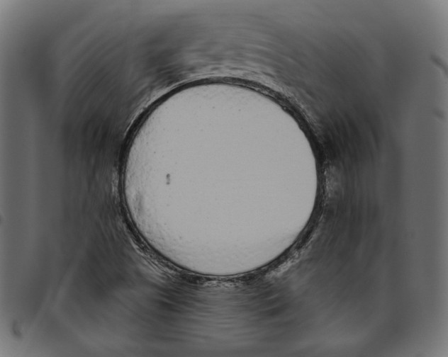 X0000094771505200712141546