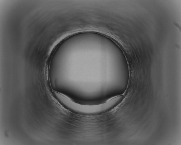 X0000094771510200712141546